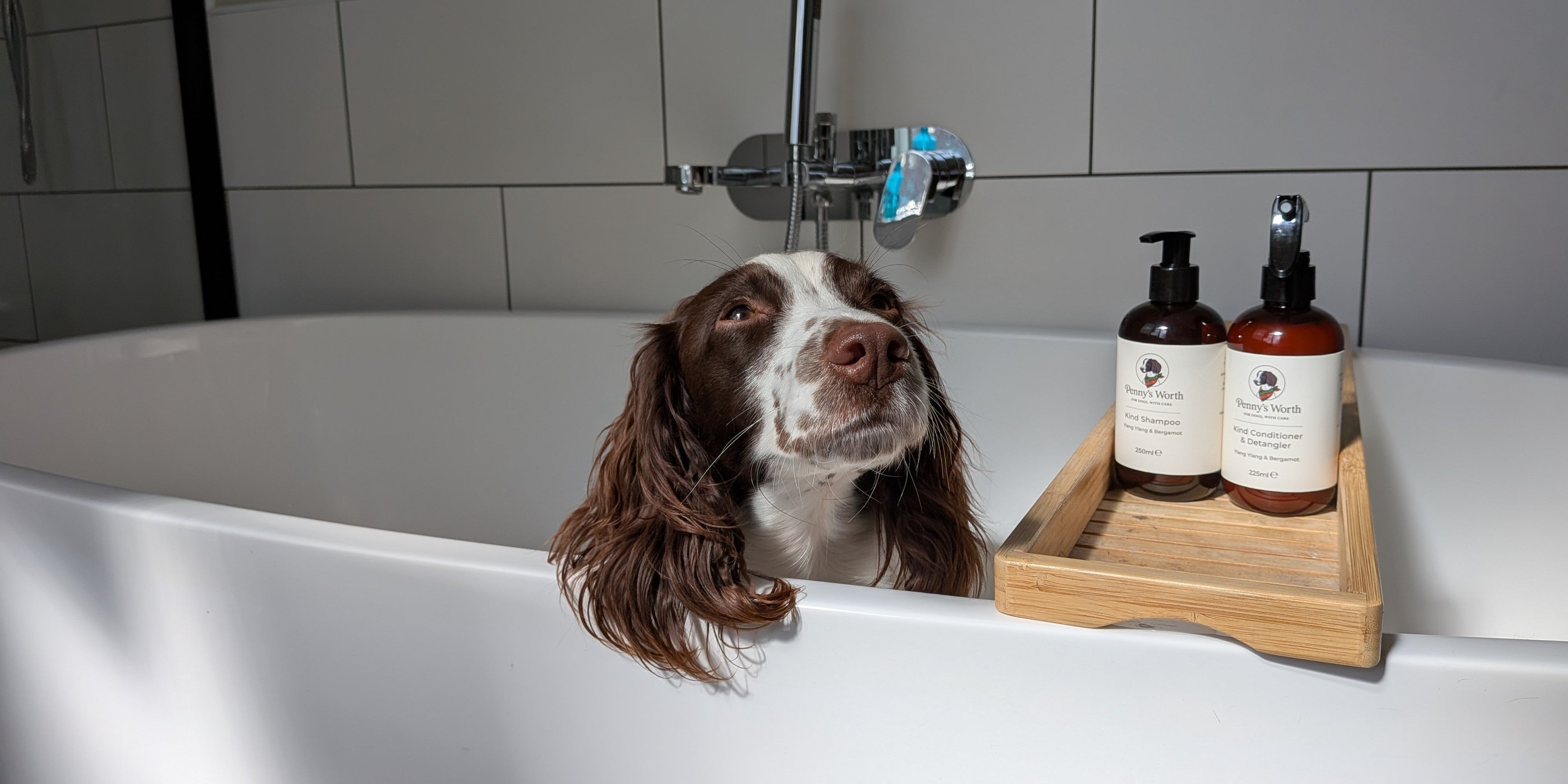 Ingredients to be mindful of in pet care products