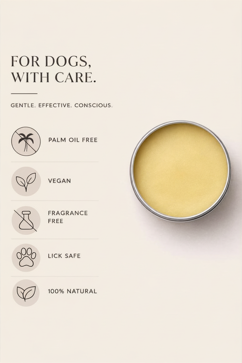 Paw Balm | Cocoa Butter & Vitamin E