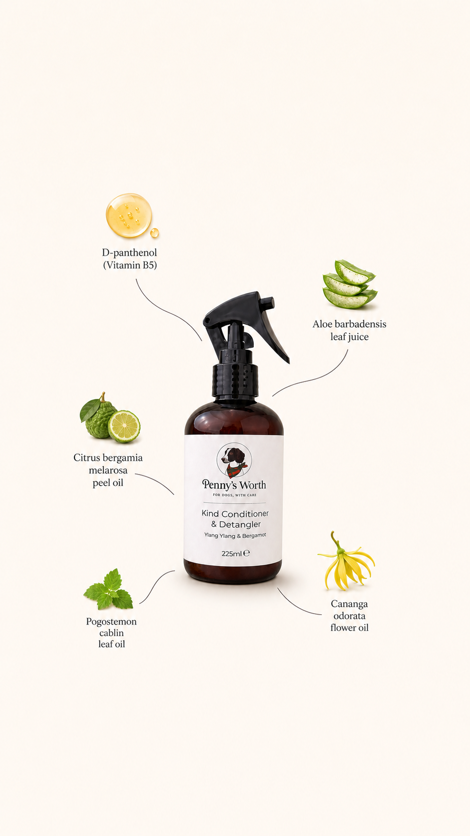 Kind Conditioner & Detangler | Ylang Ylang & Bergamot