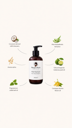 Kind Shampoo | Ylang Ylang and Bergamot