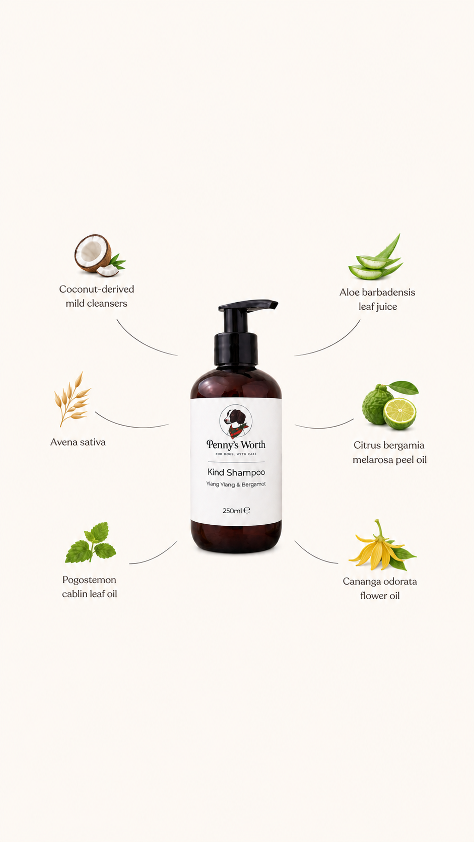 Kind Routine | Ylang Ylang and Bergamot