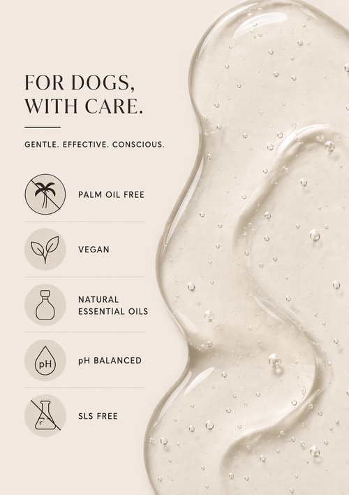 Kind Routine | Ylang Ylang and Bergamot