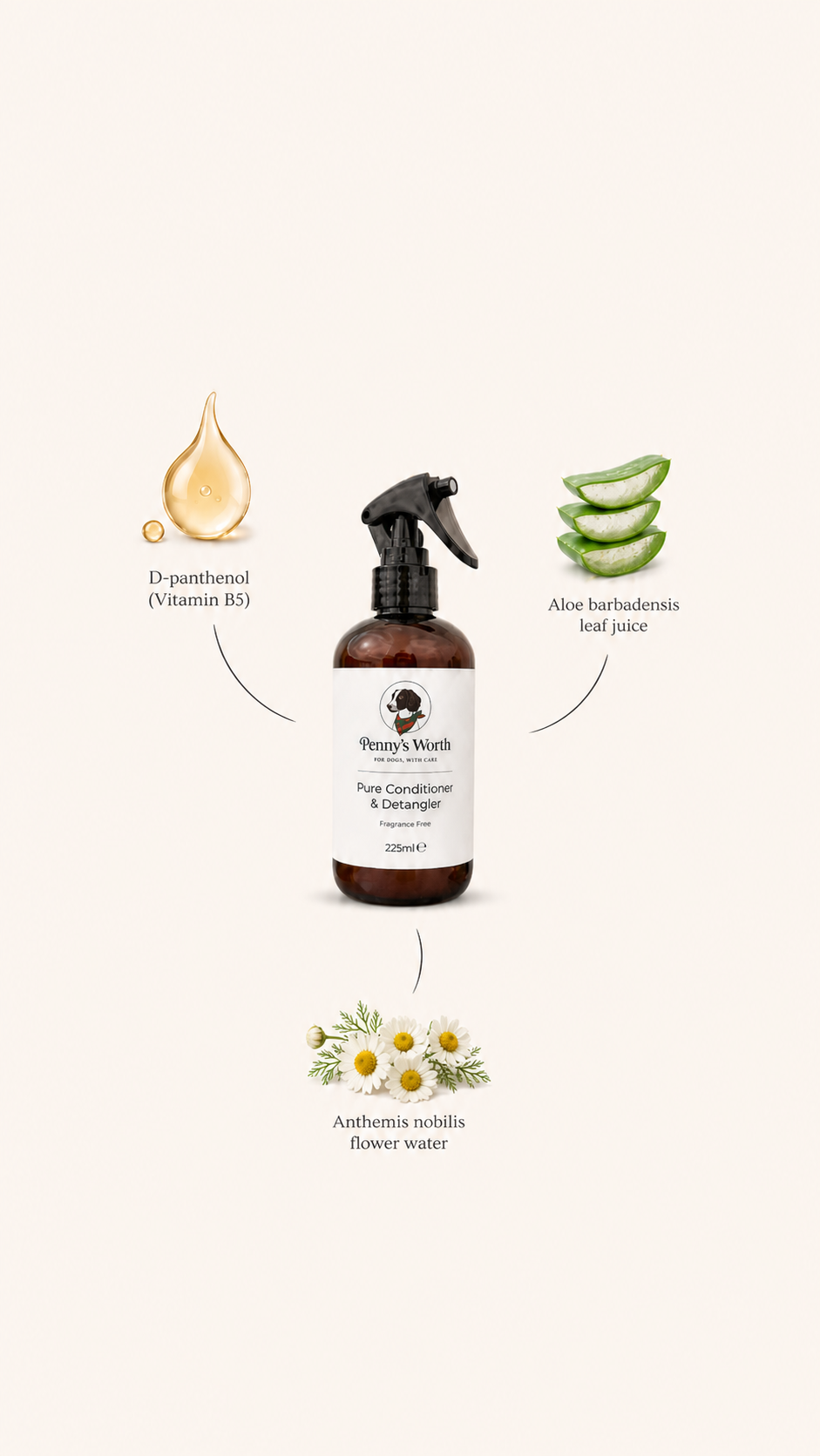 Pure Conditioner & Detangler | Sensitive | Fragrance Free