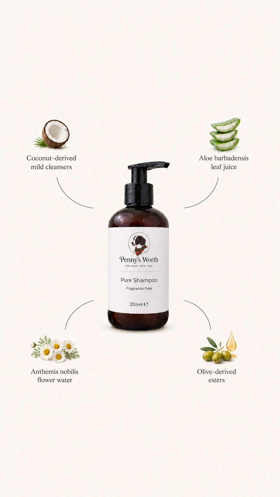 Pure Routine | Sensitive | Fragrance Free